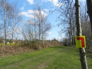 20140316.Heusden 051 (Medium)