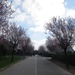 2014-03-16 Waregem 03