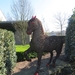 2014-03-16 Waregem 16