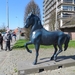 2014-03-16 Waregem 17