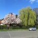 2014-03-16 Gentbrugge 06