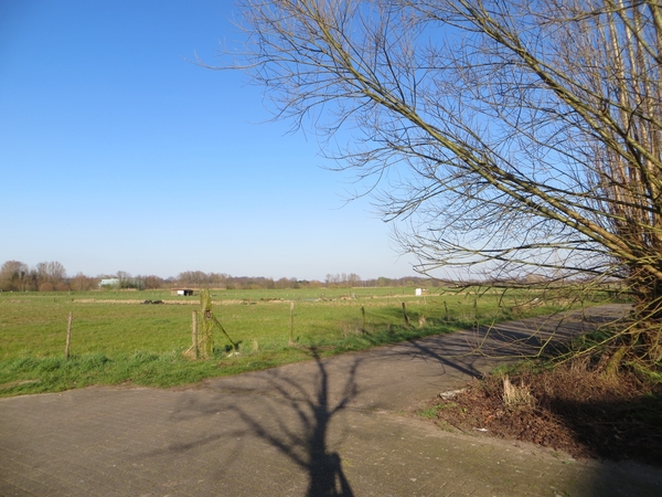 2014-03-16 Gentbrugge 18