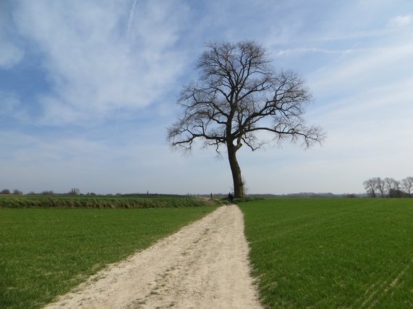 2014-03-19 Strijpen 06