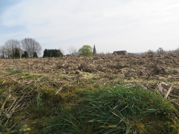 2014-03-19 Strijpen 17