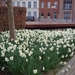 Het is lente :)