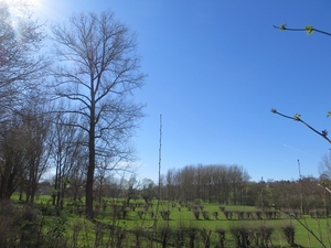 2014-03-20 Vroenhoven 23