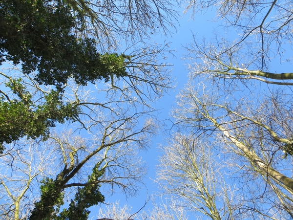 2014-03-20 Vroenhoven 30