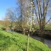 2014-03-20 Vroenhoven 40