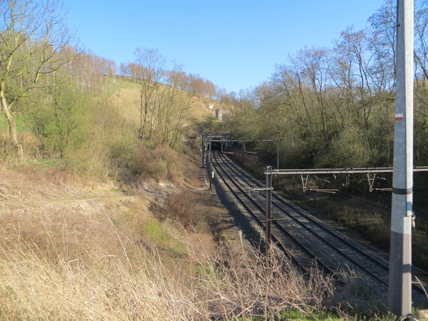 2014-03-20 Vroenhoven 42