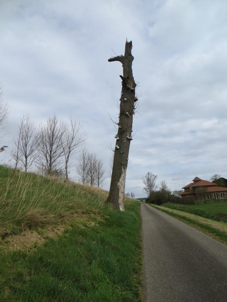 2014-03-22 Philippine 19