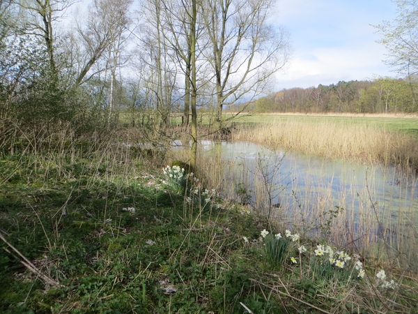 2014-03-22 Philippine 30