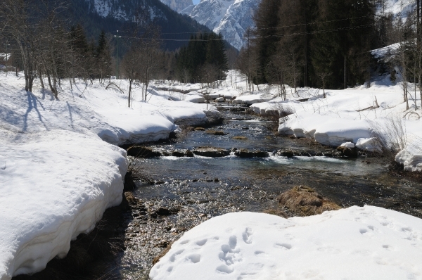 AAD_2619
