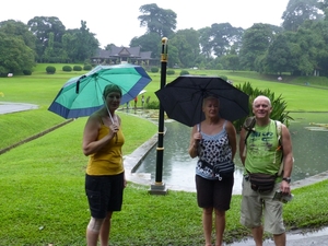 Regenbezoek botanische tuin in Bogor !