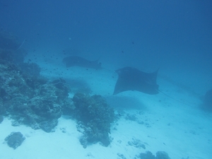P2241504