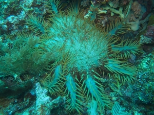 P2241598