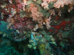 P2241602