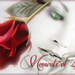 Moments of Love