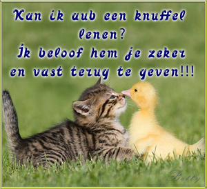 Knuffel