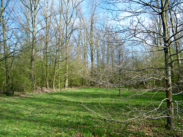 Wellemeersen Denderleeuw