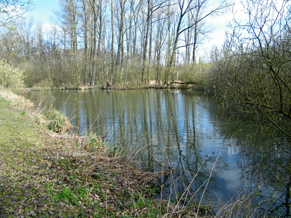 2014_03_23 Natuurwandeling Wellemeersen 010