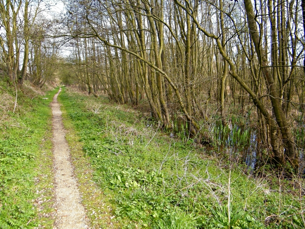 2014_03_23 Natuurwandeling Wellemeersen 016