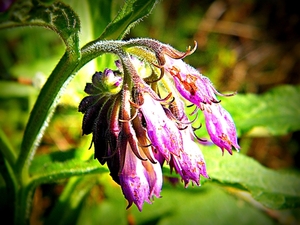 2014_03_23 Natuurwandeling Wellemeersen 036