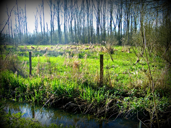 Wellemeersen Denderleeuw