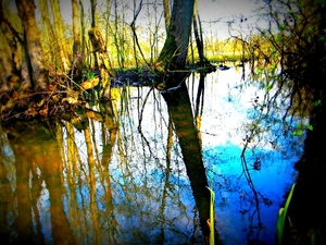 2014_03_23 Natuurwandeling Wellemeersen 039