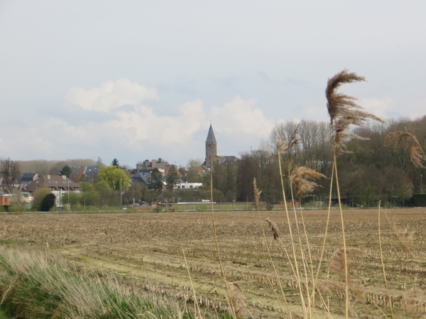 2014-03-26 Zingem 14