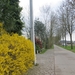 2014-03-26 Zingem 17