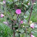 20140323_1438_DSCF7731