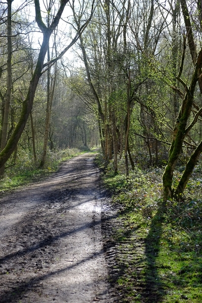 20140323_1602_DSCF3063