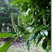 sized_P1200986