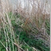 sized_P1200988