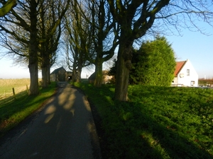 DSCN1977