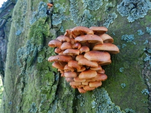 DSCN1979