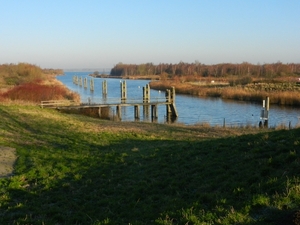 DSCN1981