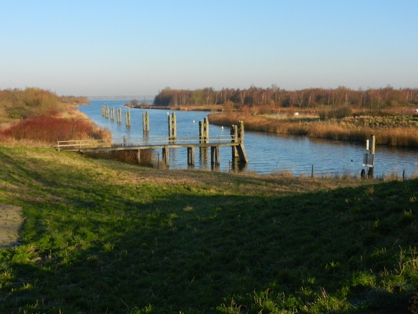DSCN1981
