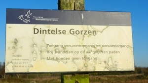 DSCN2002a