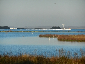 DSCN2005