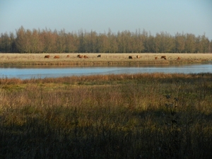 DSCN2008