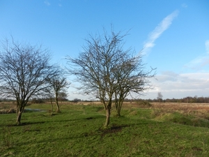 DSCN5115