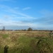DSCN5117