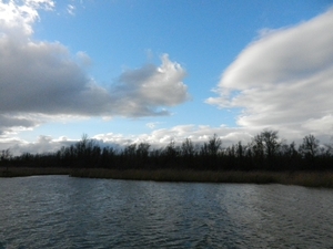 DSCN5154