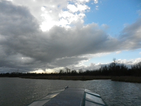 DSCN5155