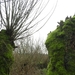 DSCN5253