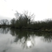 DSCN5266