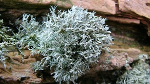 P1370891