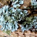 P1370893