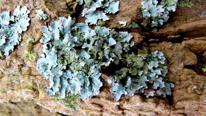 P1370893